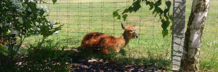 WYCIECZKA DO LEŚNEGO ZACISZA