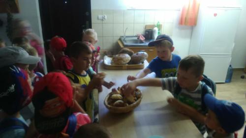 33922225 803550733148743 5614818386807619584 n (1)