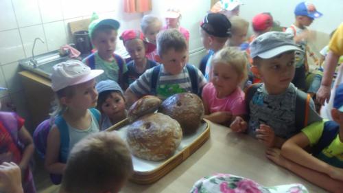 34069120 803550779815405 6748780922222411776 n (1)