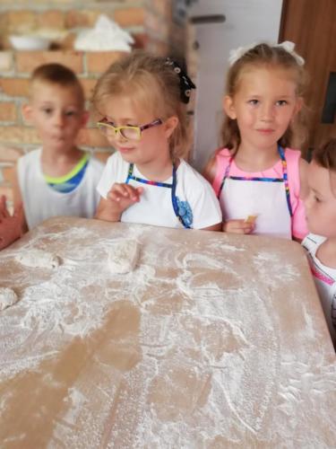 35229517 1742804522462780 2667486325053063168 n (1)